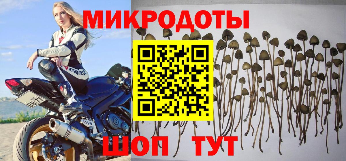Галлюциногенные грибы мицелий Шали