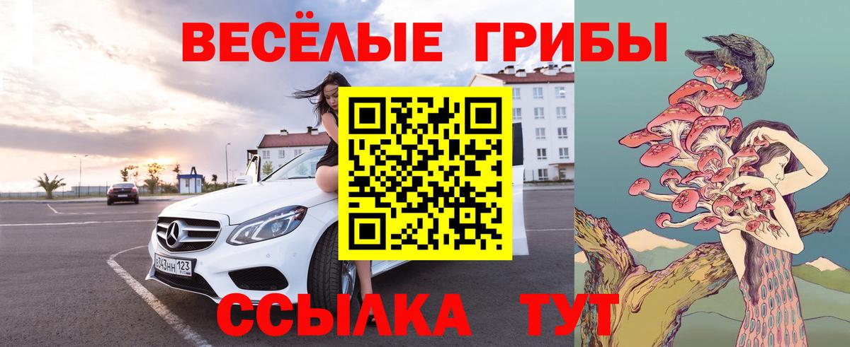 Псилоцибиновые грибы GOLDEN TEACHER  Вход с VPN  Шали  Галлюциногенные грибы мицелий 